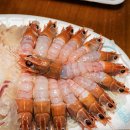 회센타포장전문점 | 제주맛집 제주회포장 경성회센터 참돔 광어 딱새우 세트 포장 후기