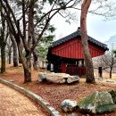 분당동행정복지센터 이미지