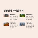 삼봉산_숲길(등산)1코스 | 제목: 장수군과 거창 경계의 비경, 삼봉산 등산코스 완벽 가이드