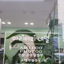 아리아리네일 이미지