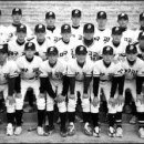 〃대구고 야구부〃 이미지