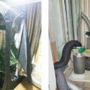 보니하우스 이미지