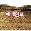 [매매됨]금산부동산/토지(금성면,350) 대전 접근성 좋은 주말농장/농막/주택지 이미지