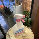 마장동김씨(오류점) 이미지