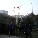 좋은나무어린이집 이미지