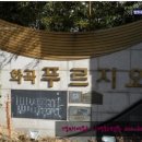 강서구-56 이미지