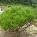 형수농장 이미지