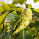 송축농장 이미지