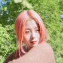 HYNN(박혜원) 전국투어(HYNN FOREST) 스타뉴스