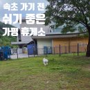운동장주유소 | 속초 가는 길 강아지와 쉬어가기 좋은 가평휴게소 애견운동장