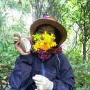 숙이와 목이 이미지