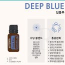 도테라 보고 프로모션 5일차 : 딥블루오일 구매시 딥블루 럽을 선물로 주어요.