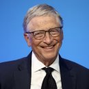 지지피 소프트 이미지