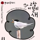 새 이미지