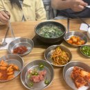 영월다슬기협동조합 | 영월 청령포 근처 맛집 추천, 다슬기 맛집 동강다슬기