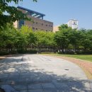 손바닥공원 농구장 이미지