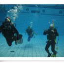 올림픽수영장 이미지