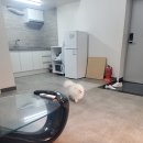 퍼피랜드 이미지