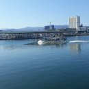 주문진황소국밥 이미지