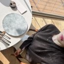 2024 요리, 조리, 행복한 요리 학습 | 부산 광안리 오션뷰 맛집 | 미쉐린 선정 프렌치 레스토랑 램지(RAMSEY) 런치 코스 후기 및 예약꿀팁 ‼️