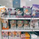 이리온 양재점 | 고양이 사료ㅣ이마트 양재점 이리온 할인 정보ㅣANF 유기농