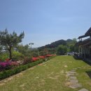 구례탁구장 | 지리산 아래, 힐링 그 자체였던 구례단체펜션 후기