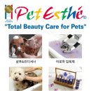 제로네 펫쌀롱 이미지