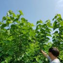 원창농장 이미지