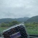 상기농장 이미지