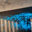 스타벅스 서울웨이브아트센터점 이미지