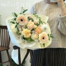 베르디플라워