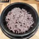 따릉이대여소(759.보아스아파트 앞) 옆 | [부동산 임장기 1편] 마곡나루역 동네 임장 및 서울식물원 피크닉 생생 후기