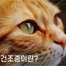 수경한의원 이미지