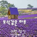 역전 - 동대문구 신이문로 41-1 | 역전