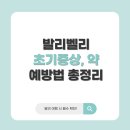 목포하나로약국 | 발리벨리 초기증상, 약, 예방법 총정리