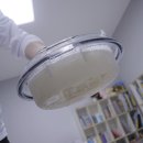 화개4길 | 충주 소파·침대 매트리스 청소｜마더스홈케어 반려묘털·얼룩제거 전후 비교 후기