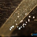 동구청 본관 이미지