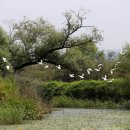 김해 화포천습지 생태박물관 이미지