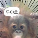 유진스