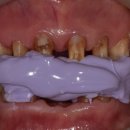 새(고경) 이미지