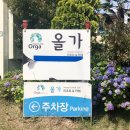 올가리조트