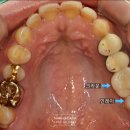 서울쏙쏙치과의원 이미지