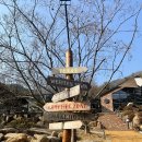 카우보이 캠핑장 | 충북 제천 | 학현리 텍사스바베큐 플래터 맛집 <카우보이그릴> 예약 주차 정보 및 솔직후기