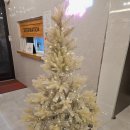 대청호텔 | 옥천 대청호텔 1박 2일 솔직 후기｜넓고 깔끔해서 강력 추천합니다