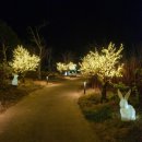 낙조분수 | 2025 다대포 빛축제 개장 화이트 파라다이스 in 다대포 | 꿈의 낙조분수 겨울 야경 명소 후기