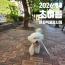 떡꼬미 | 2026년 06월 전지적꼬미시점, 초여름 꼬미의 일상