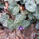 야미리보건진료소 이미지