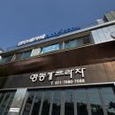 18 | 🦜 아기와 함께 다녀온 남양주 앵무새카페 버드소리 후기 (18개월 아기 반응 &amp; 체험 솔직리뷰)