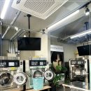 런드리 코인 세탁 이미지