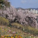 4월14일(화) 성남식물원.모란시장 이미지
